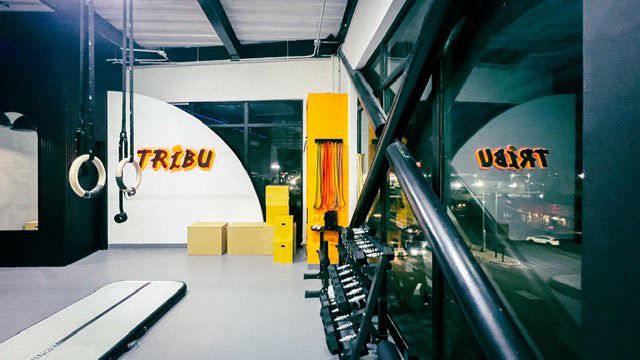 Tribu Studio - Hermosillo