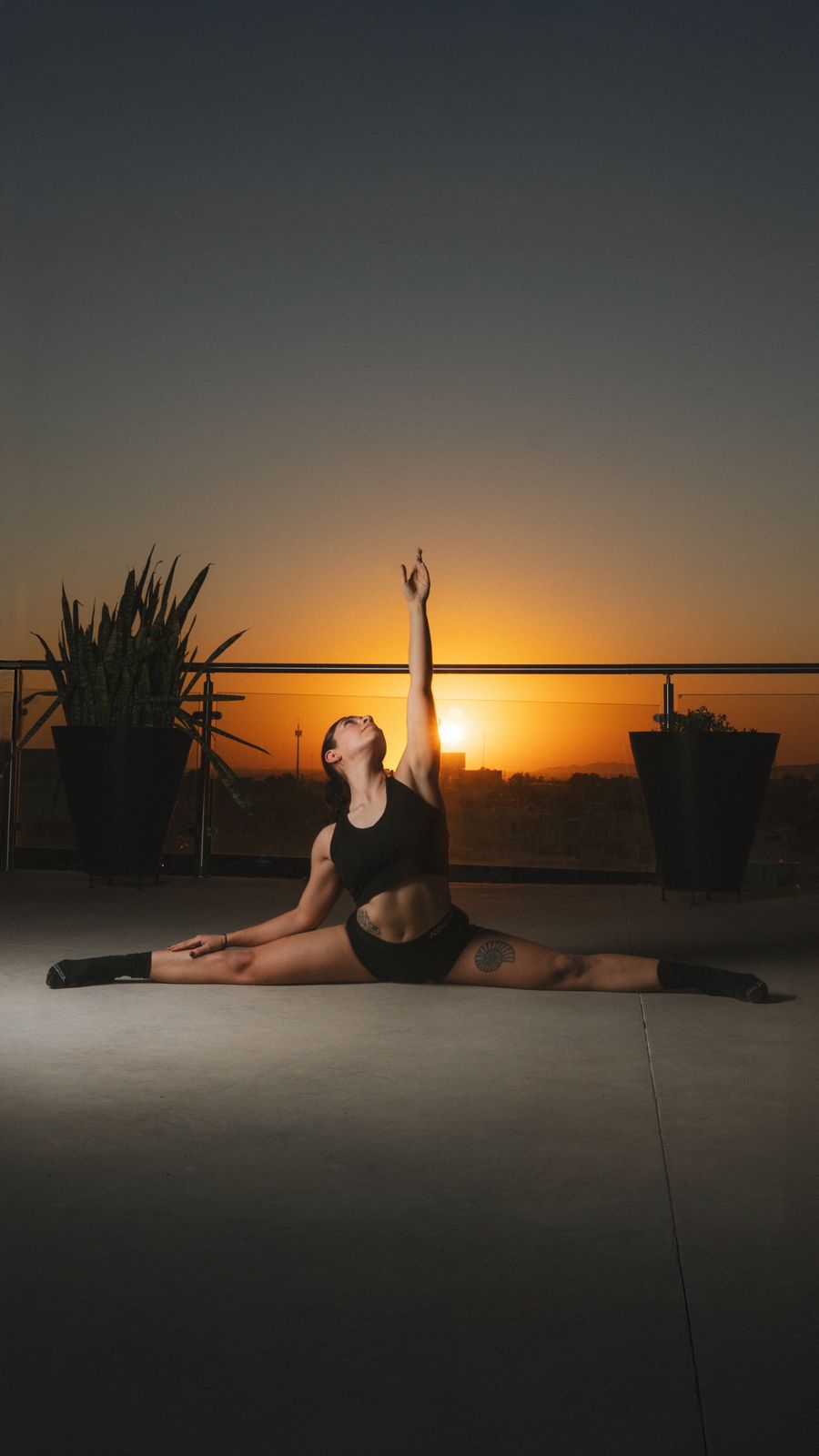 Tribu Studio - Hermosillo
